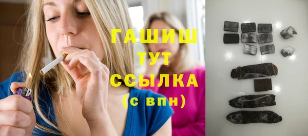 хмурый Арсеньев