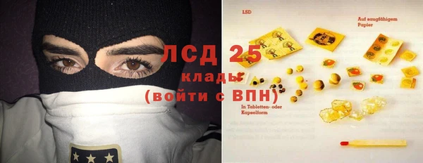 хмурый Арсеньев