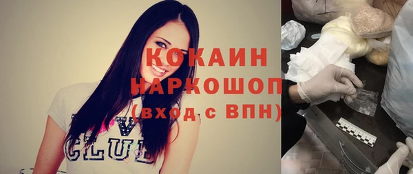 хмурый Арсеньев