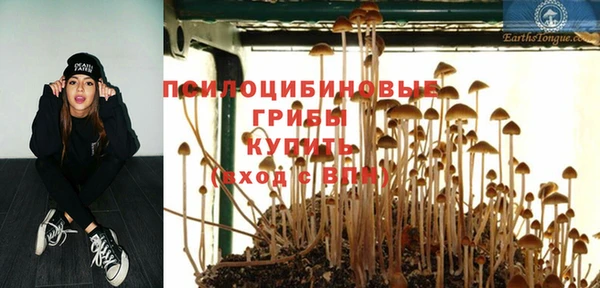 молекула духа Баксан