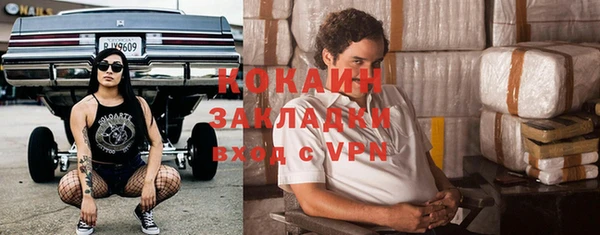 хмурый Арсеньев