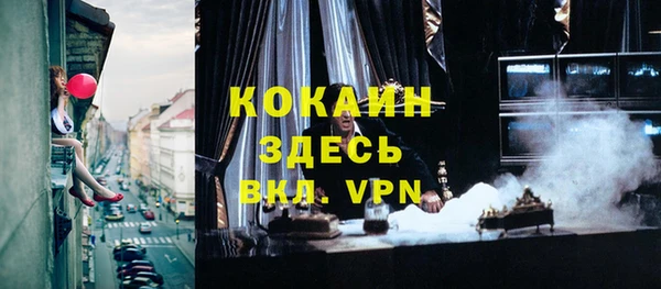хмурый Арсеньев