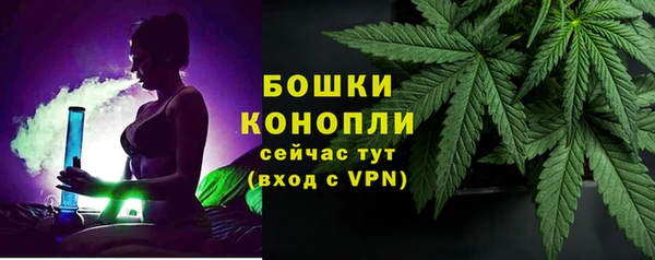 молекула духа Баксан
