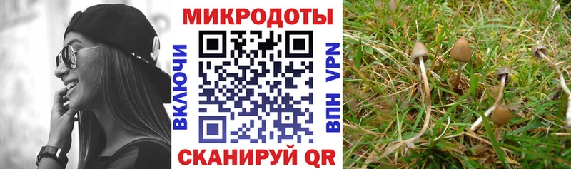 Псилоцибиновые грибы ЛСД  Валдай 